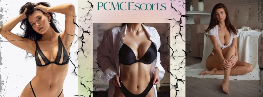 Complete Pleasure Solution Offered By PCMC Escorts